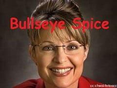 Palin-Bullseye-Spice